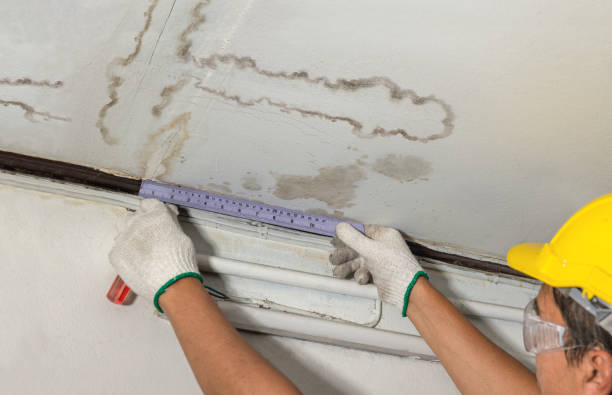 Reliable Water Damage contractor in Mechanicsburg, OH by Water Damage Irwin